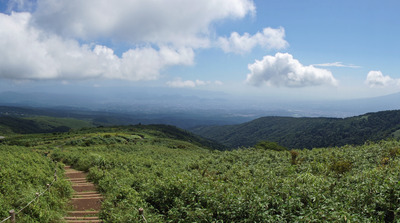 DSC05321