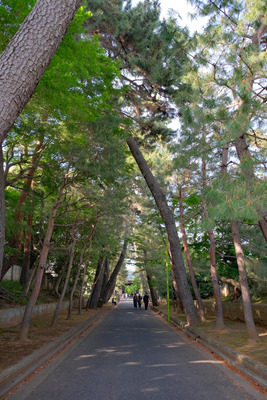 11-DSCF0994