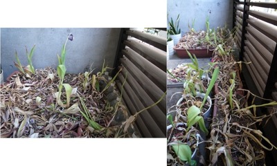 【5月21日 日曜日】