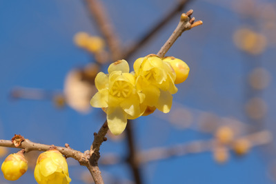 92-DSCF9591
