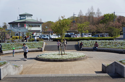 DSC05576
