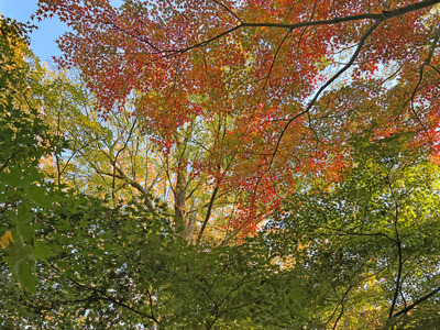 14-IMG_8086