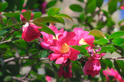 122DSCF5953