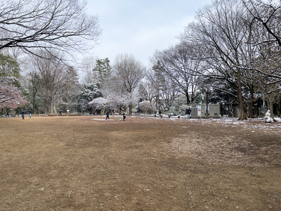 30-IMG_8410