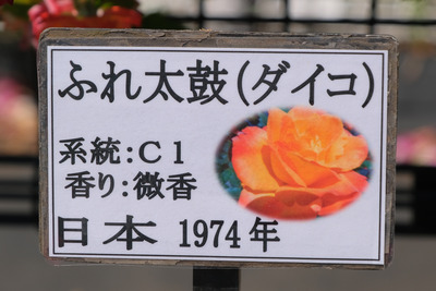 23-DSCF1302