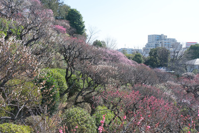 14-DSCF9846