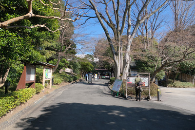 113-DSCF9621
