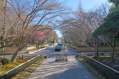 35-1DSCF9357