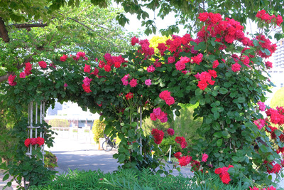 48-DSCF1678