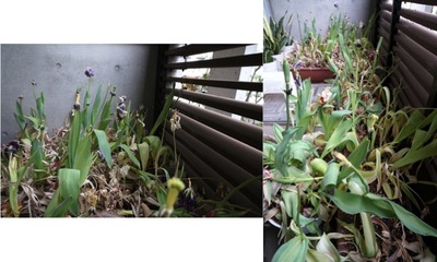 【5月14日 日曜日】