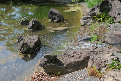 168-1DSCF0680