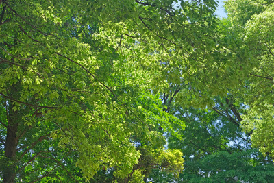 12-3DSCF1160
