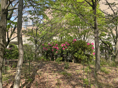 44-IMG_8910