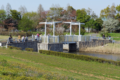 DSC05645