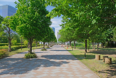 20-DSCF1567