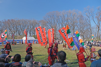 317DSCF0815
