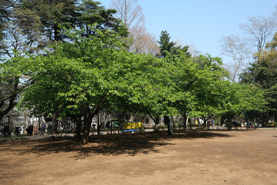 DSCF2456