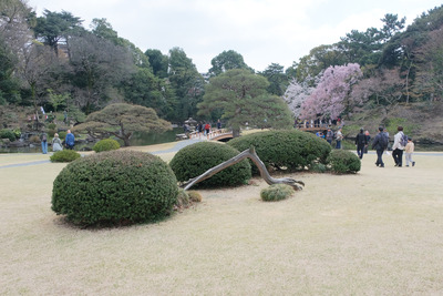 220-DSCF0233