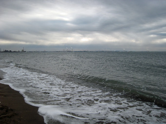 06IMG_4552