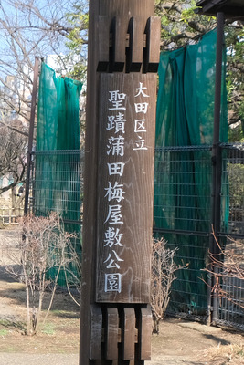 11-1DSCF9784-2