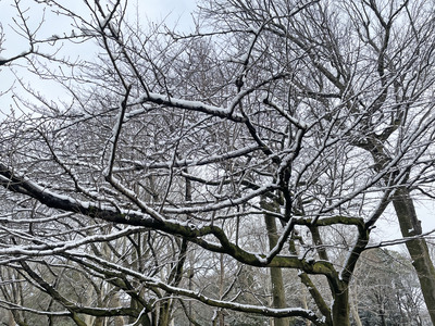 22-IMG_8390