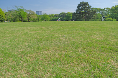 223DSCF0794