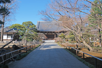39-DSCF9364