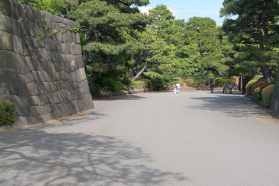 187DSCF0713
