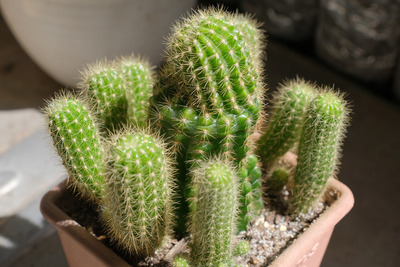 5-1-ca91f8b3