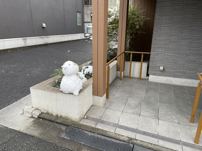50-IMG_8437