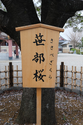 DSCF2703