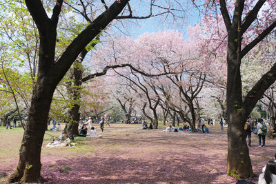 450-DSCF0466