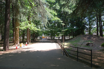 10-2DSCF1368