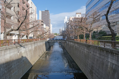 11-DSCF9992