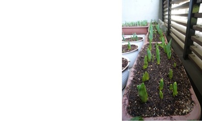 【3月18日 土曜日】