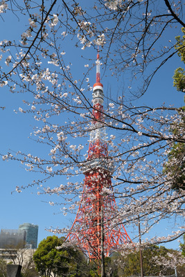 DSCF2274