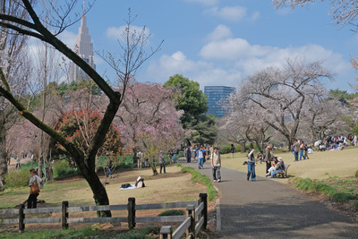 331DSCF0327