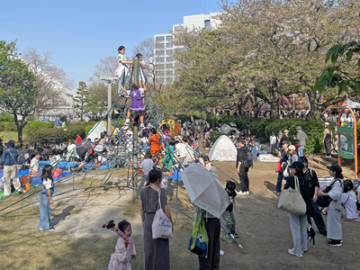 19IMG_8880