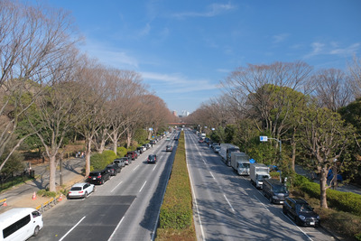 42DSCF6924
