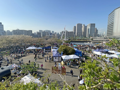 55-IMG_8918