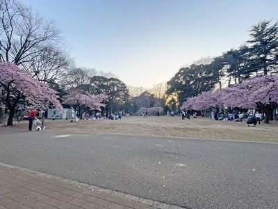 60IMG_8615