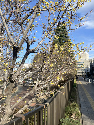 10-IMG_8301