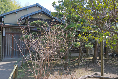 50-DSCF9891