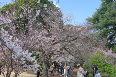 115DSCF0110