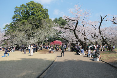 460DSCF0504