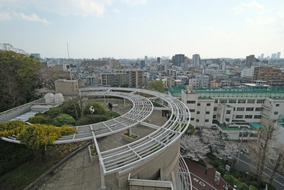 DSCF2731