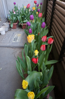 DSC05360