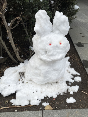58-IMG_8447