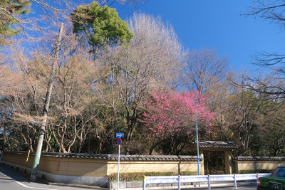 35-2DSCF9362