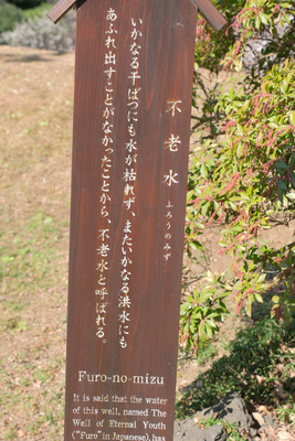 143-DSCF9652
